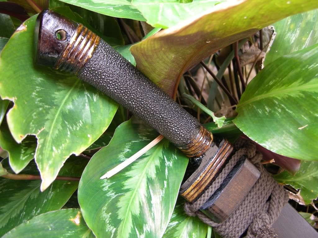 [Linked Image from i187.photobucket.com]