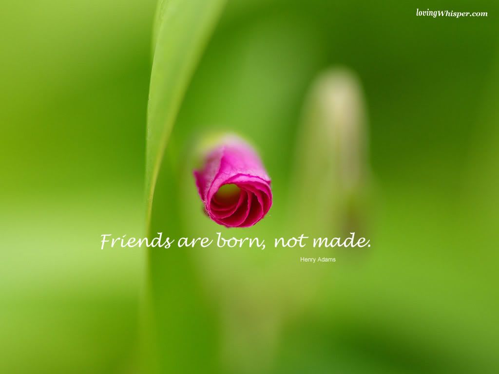 47987-friends-are-born.jpg
