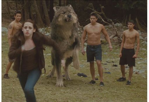 Twilight New Moon review