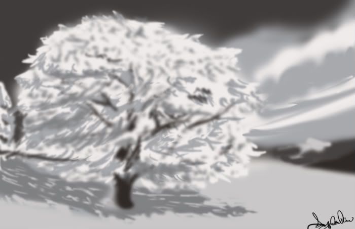 snowy tree photo: snowy tree assign01.jpg