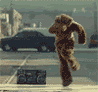 http://i187.photobucket.com/albums/x9/DonutorDoughnut/dancingbearanim.gif