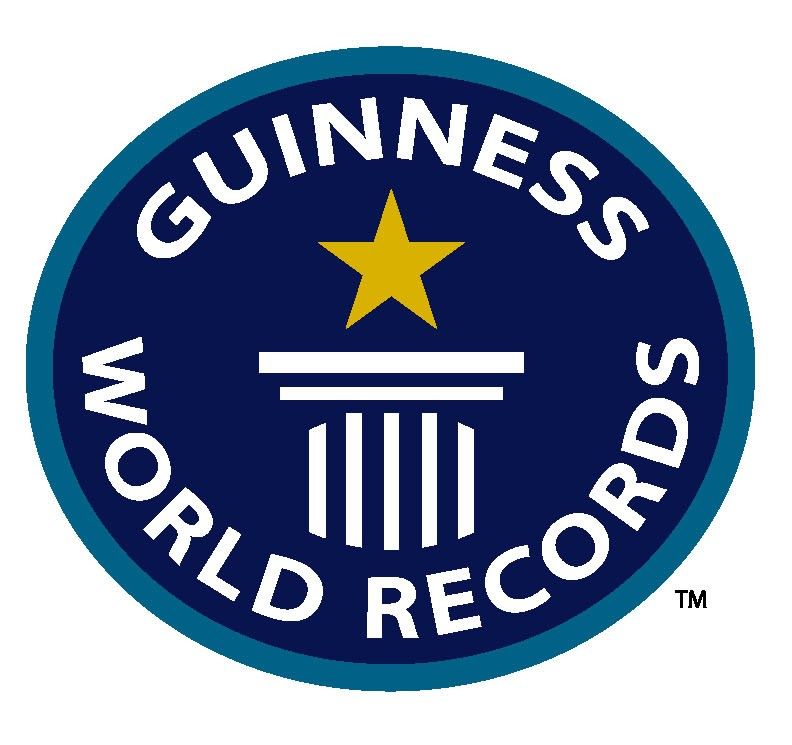 Image result for guinness world record icon
