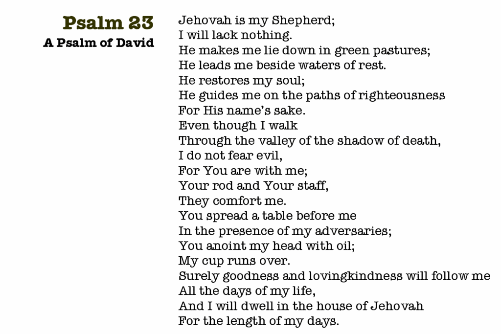 the 23 psalm