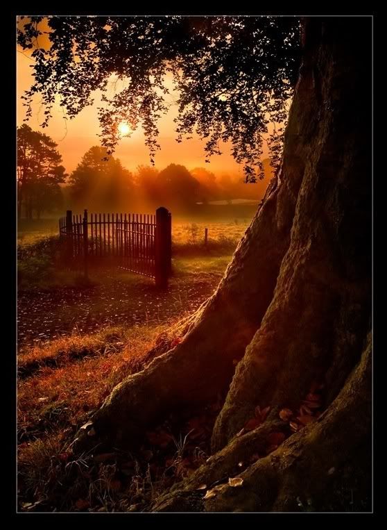 autumn_sunrise3.jpg