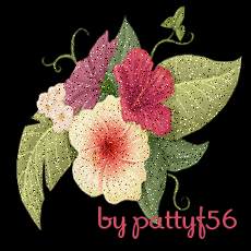 pattyf56_Animazione15.gif picture by patrymm_2007_2